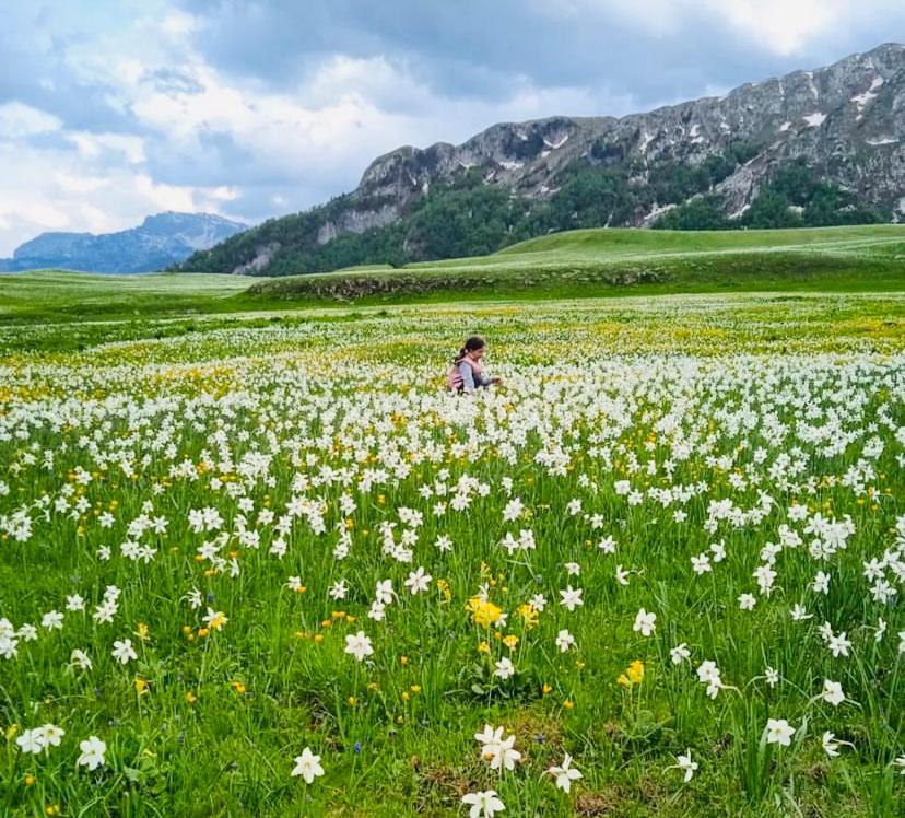 Kapetanovo Jezero Bungalov Bed & Breakfast Podgoriçe Dış mekan fotoğraf