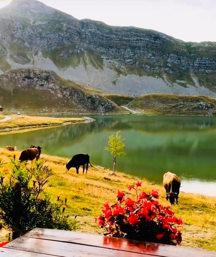 Kapetanovo Jezero Bungalov Bed & Breakfast Podgoriçe Dış mekan fotoğraf